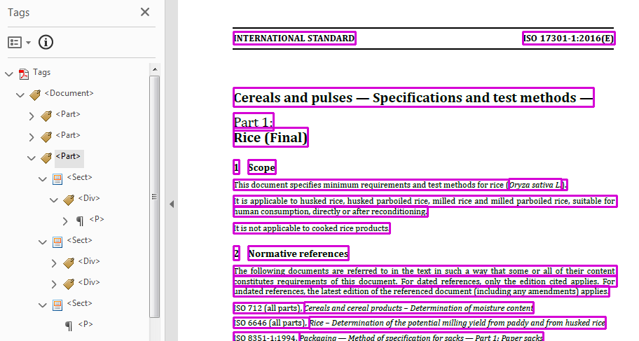 The ISO Rice document with an accurately populated tag tree