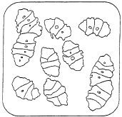 Intermediate stages: Some fully gelatinized kernels are visible Alt4