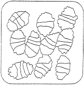 Final stages: All kernels are fully gelatinized Alt5