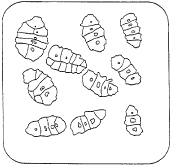 Alt3